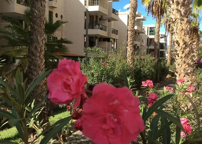 Vinas * Playa de las Americas (Tenerife)